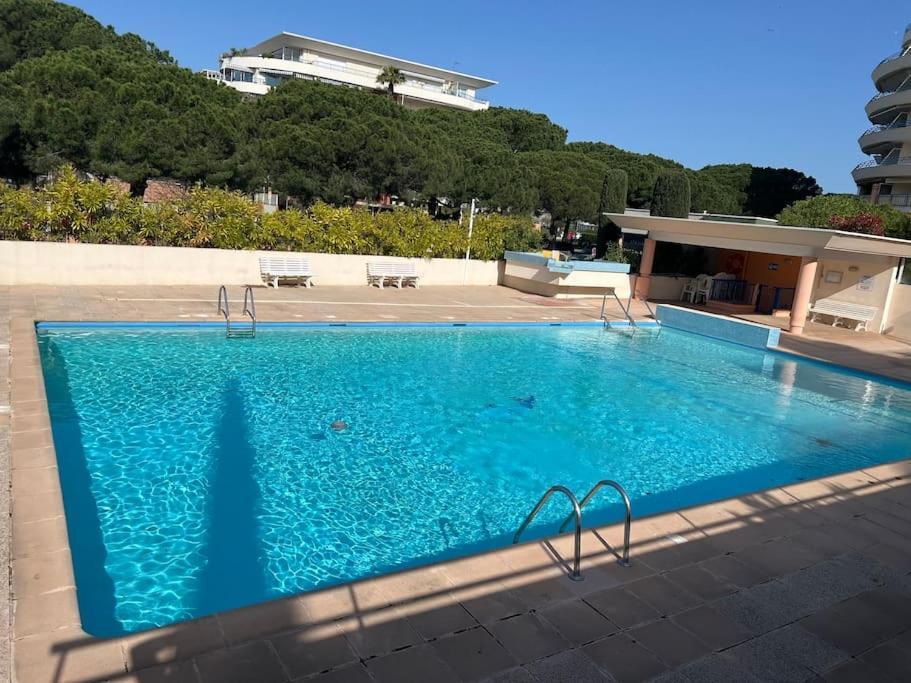 Appartamento Cosy Piscine 2 Pieces Fréjus